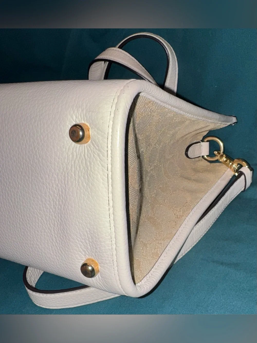 Coach signature canvas